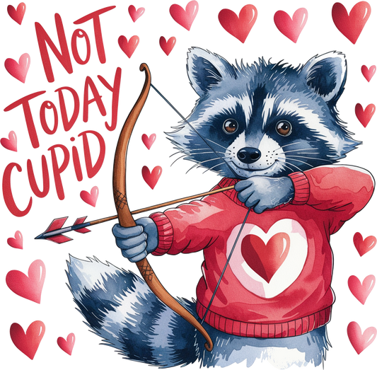 Not today cupid, valentines, heat transfer, press and peel, no shirt, made to order